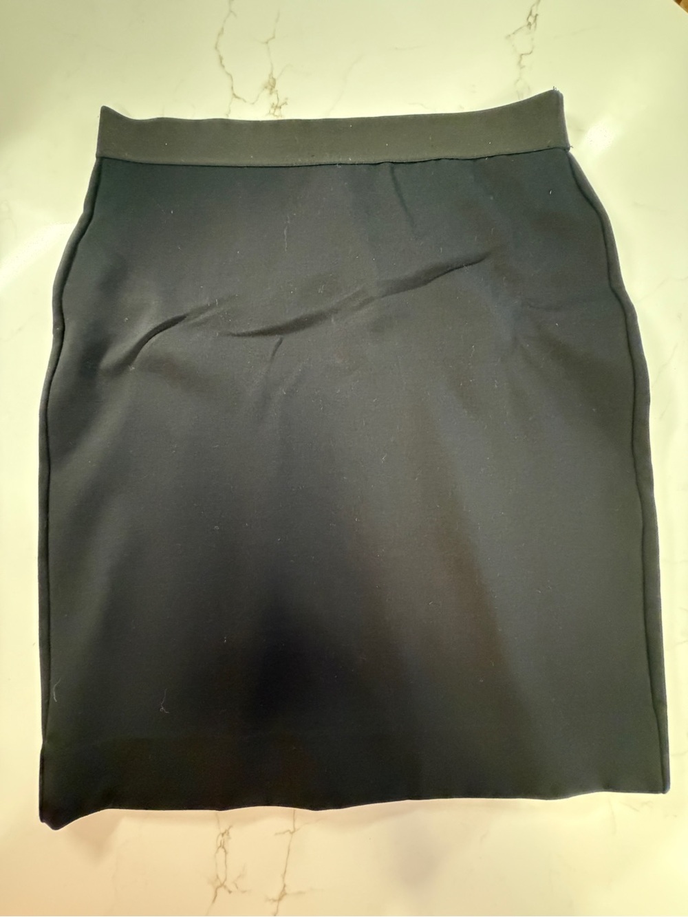 Everlane Black Pencil Skirt - Sleek Office Staple